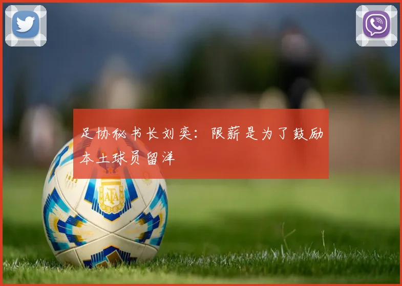 足协秘书长刘奕：限薪是为了鼓励本土球员留洋