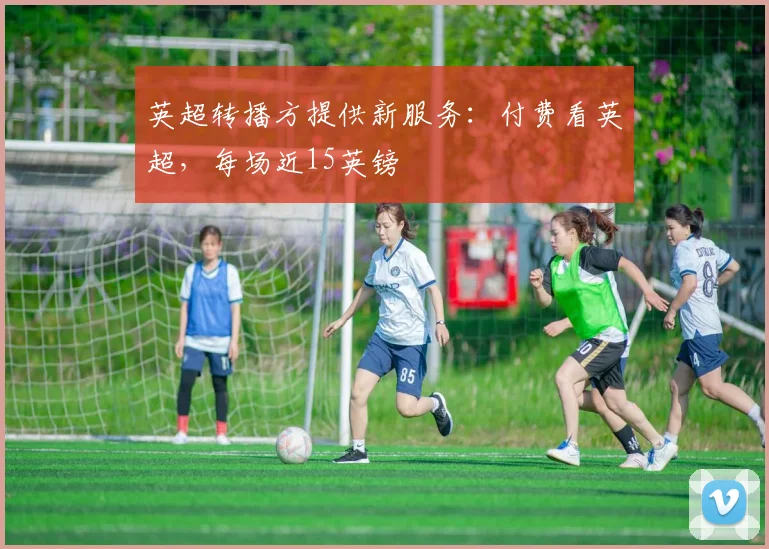 英超转播方提供新服务：付费看英超，每场近15英镑