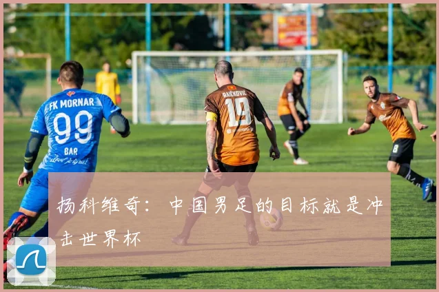 扬科维奇：中国男足的目标就是冲击世界杯