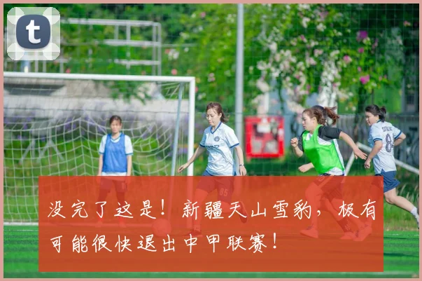 没完了这是！新疆天山雪豹，极有可能很快退出中甲联赛！