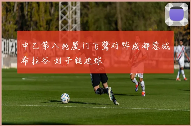 中乙第八轮厦门飞鹭对阵成都蓉城希拉谷 刘子铭进球