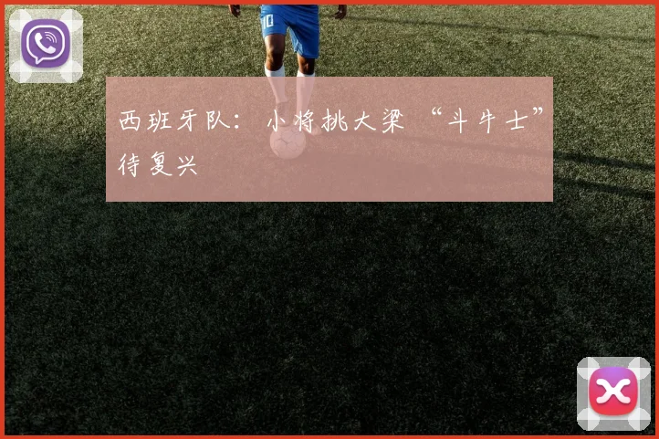 西班牙队：小将挑大梁 “斗牛士”待复兴